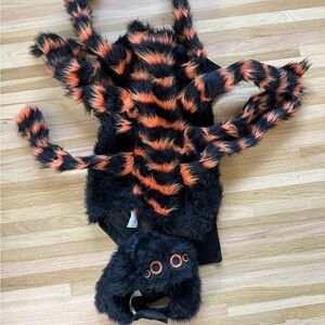 Dog Spider Halloween Costume